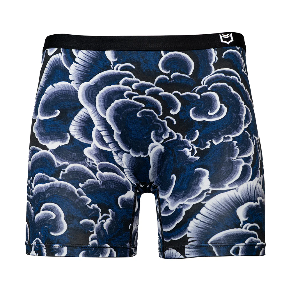 SHEATH Women's Bamboo Trametes Long Leg Boxer Brief - Image 5